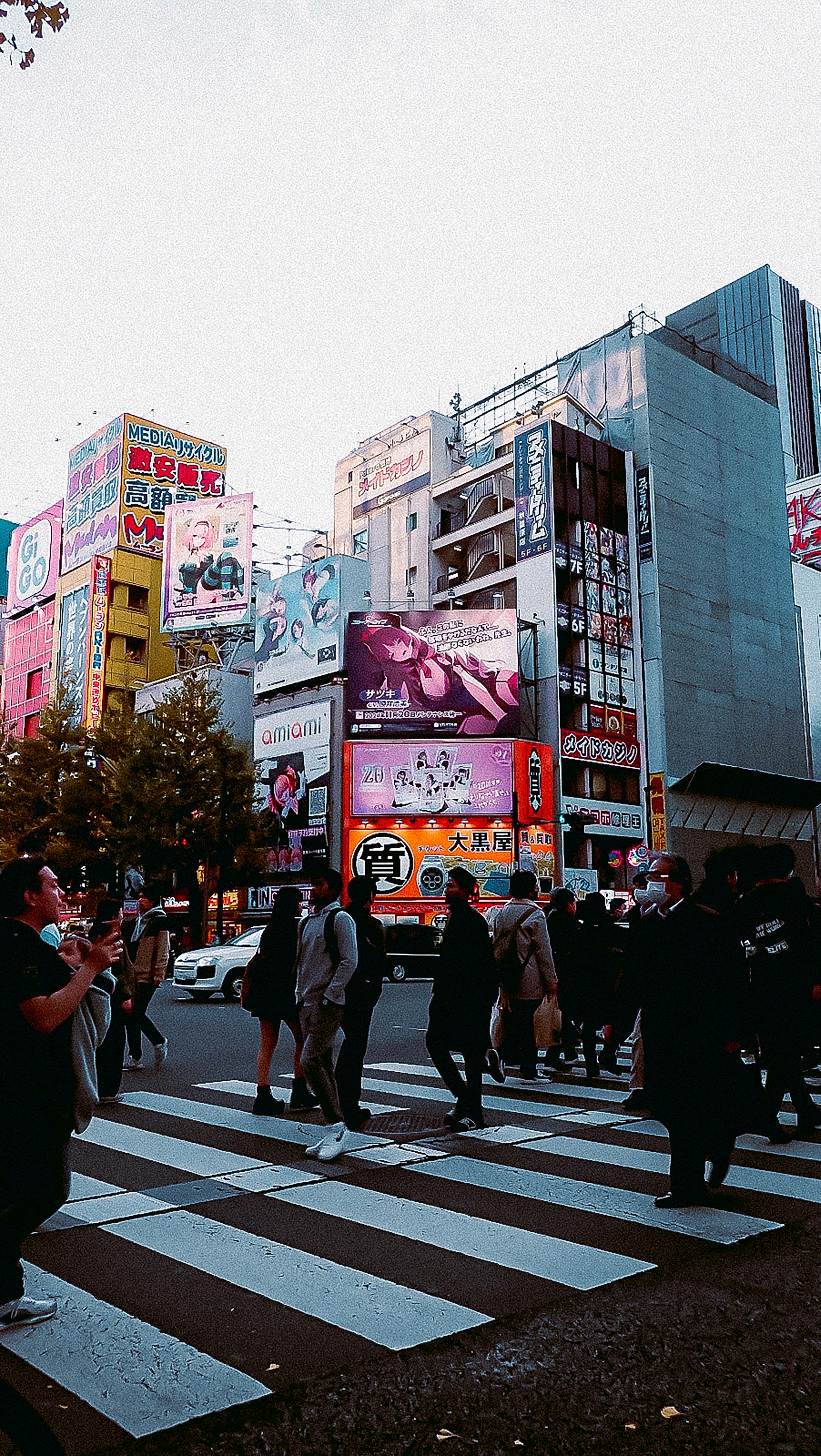 Japan Look 5